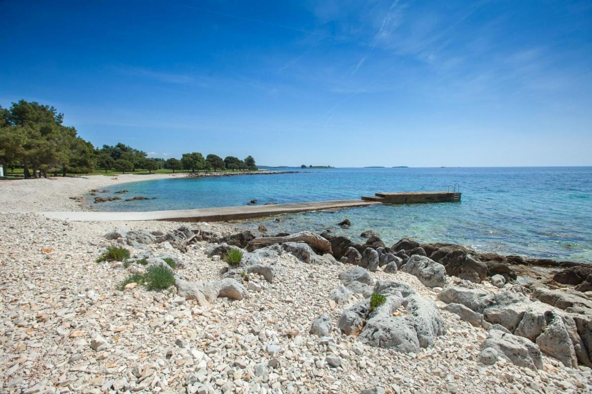 Apartment Dolly Completely Renovated 2023 Rovinj Exteriör bild
